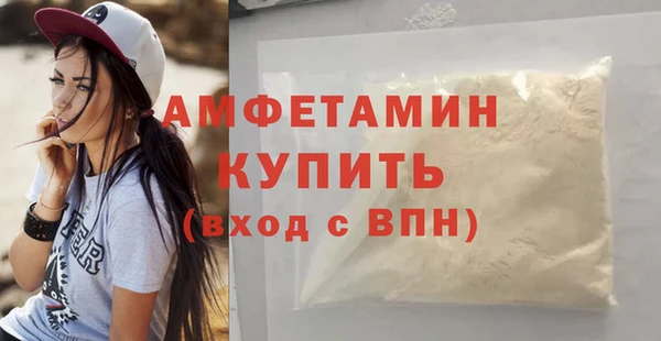 твердый Магас