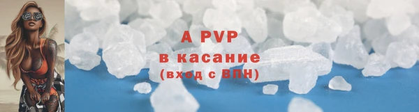 твердый Магас