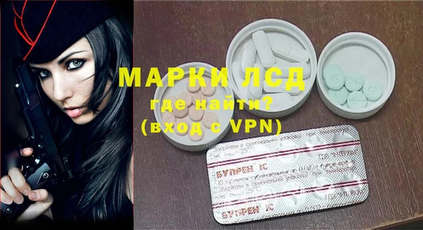 твердый Магас