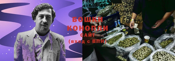 твердый Магас